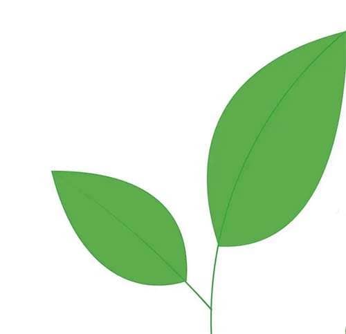 Foglia verde, descrizione significato del Logo EVF